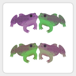 Bullfrog Buddies (Mystic) Magnet